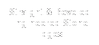 Text Box: Straight & Beveled Engineered Stone Edges
