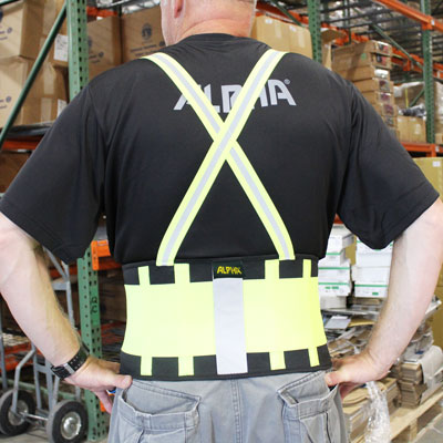 Lumbar Support Belt  Alpha Professional Tools®